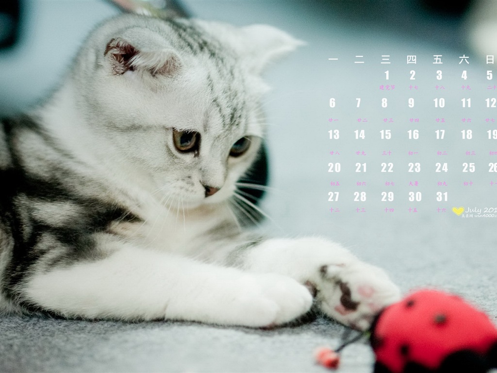 Juli 2015 Kalender Wallpaper (1) #11 - 1024x768