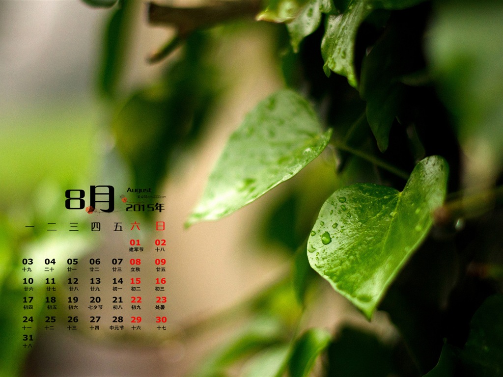 08. 2015 kalendář tapety (1) #11 - 1024x768