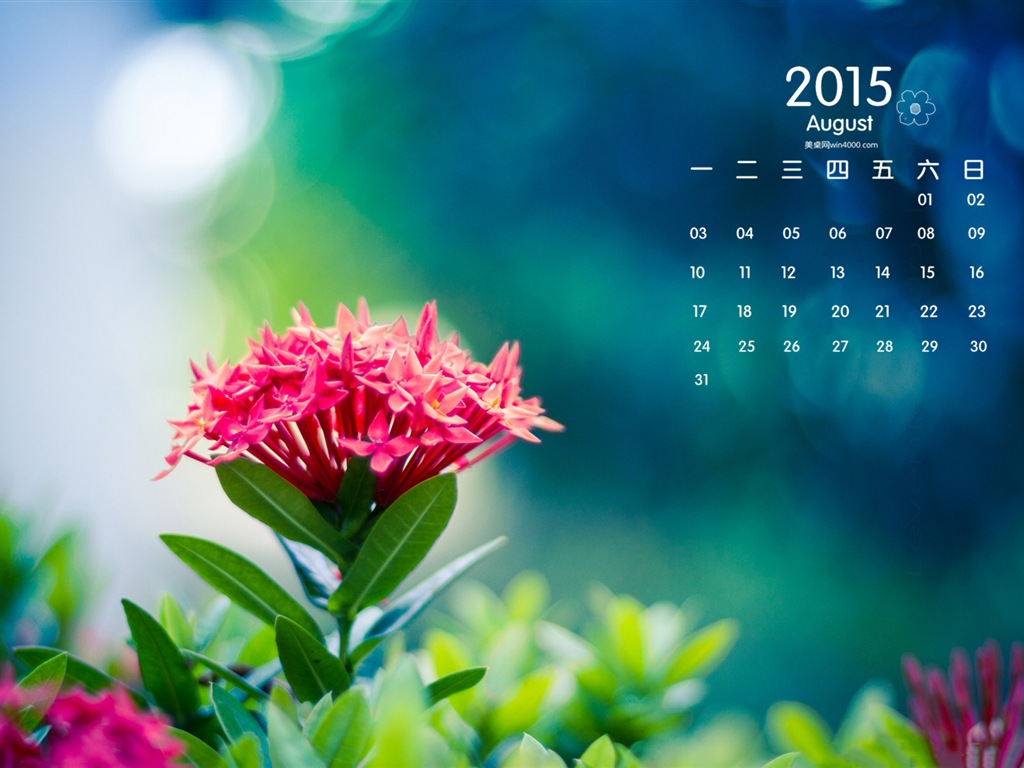 08. 2015 kalendář tapety (1) #12 - 1024x768