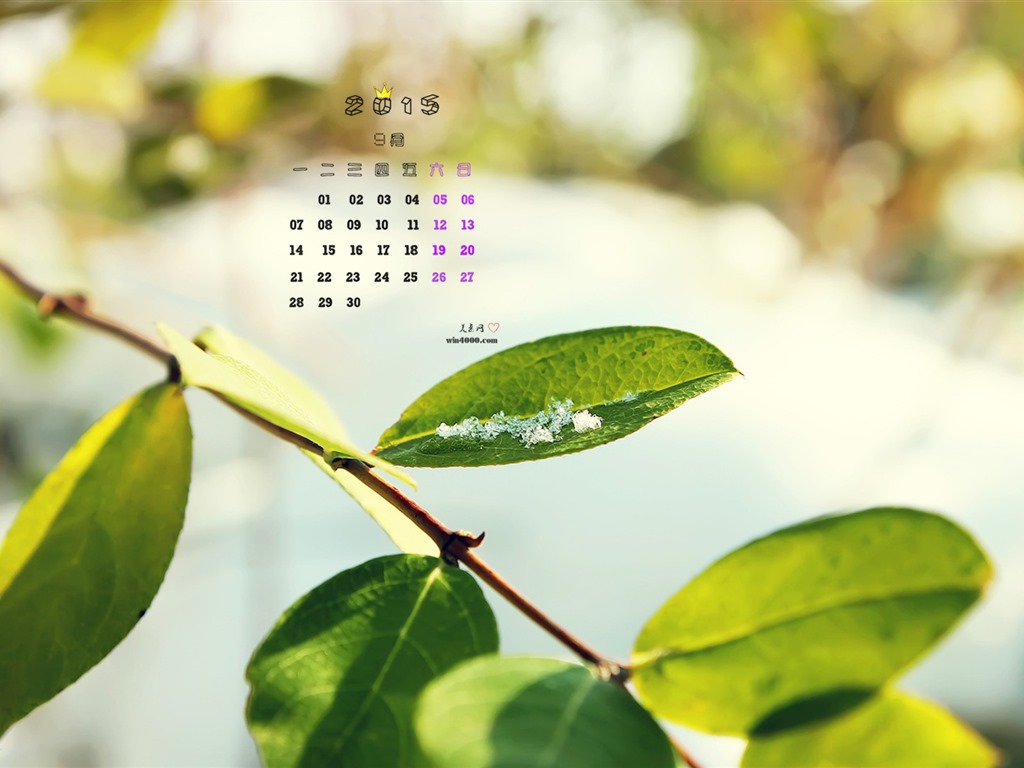 September 2015 Kalender Wallpaper (1) #9 - 1024x768