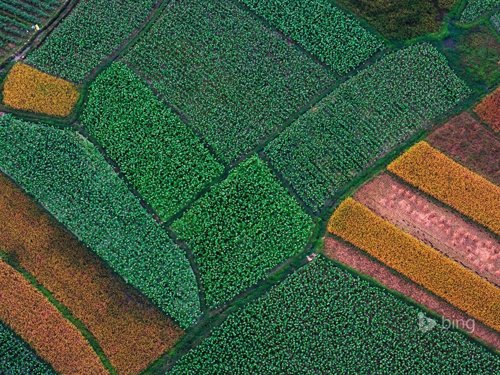 Avril 2015 fonds d'écran HD Bing #16 - 1024x768