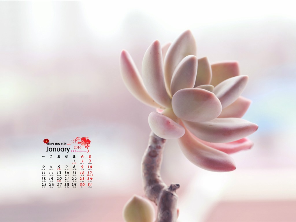 01. 2016 kalendář tapety (1) #4 - 1024x768