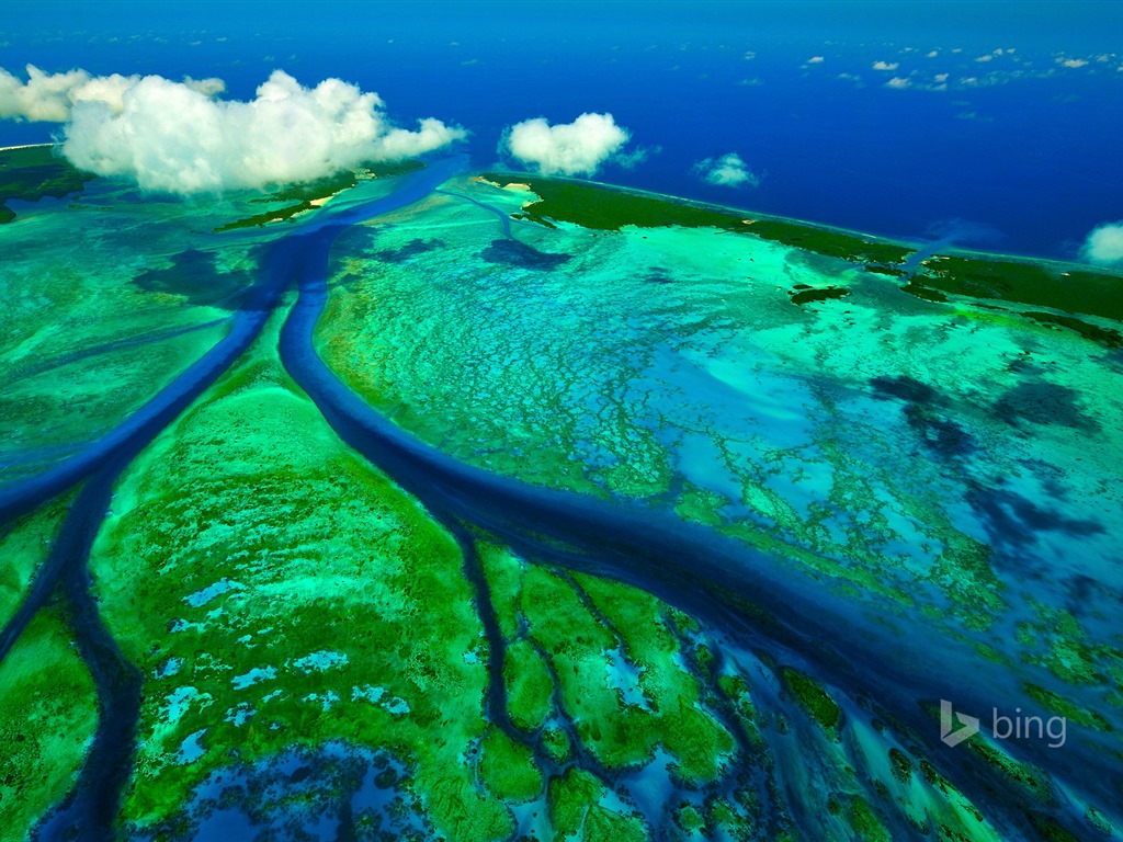 De enero de 2016 fondos de pantalla HD tema de Bing #1 - 1024x768