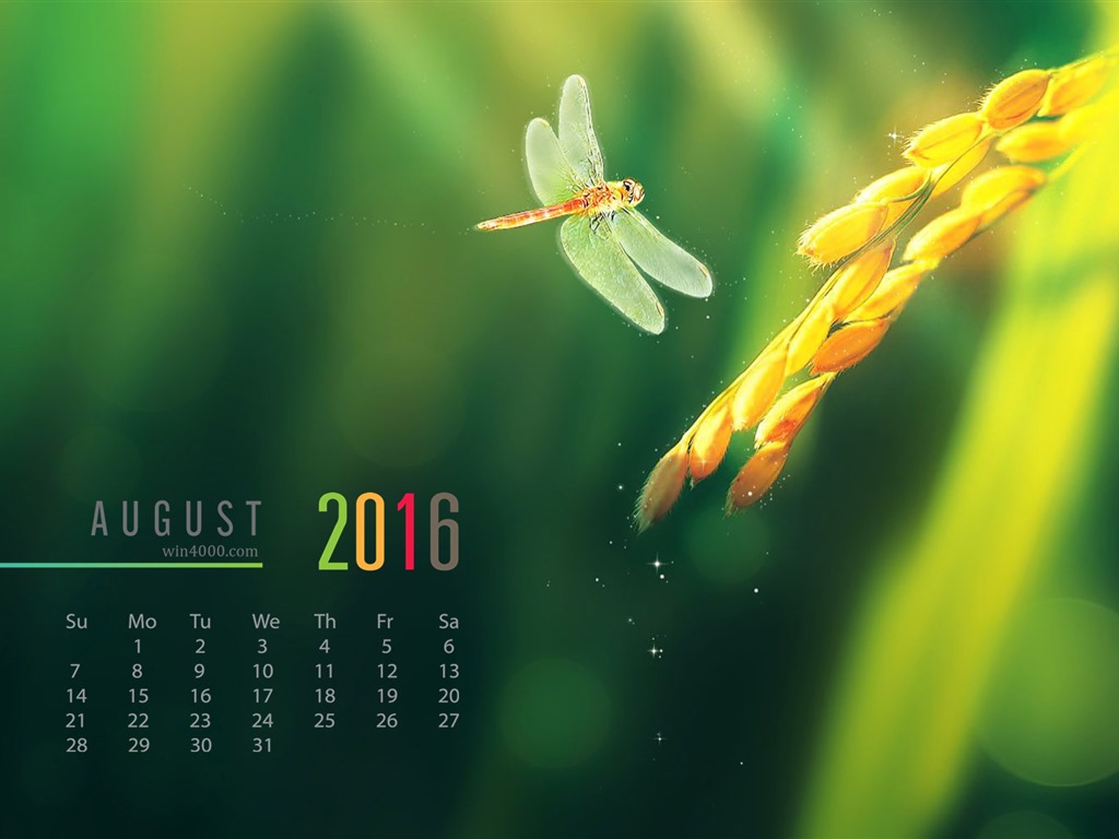 De agosto de el año 2016 fondo de pantalla de calendario (2) #2 - 1024x768