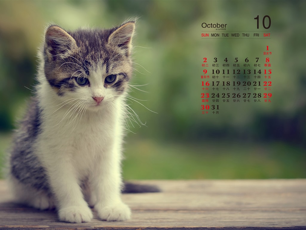 De octubre de el año 2016 fondo de pantalla de calendario (1) #8 - 1024x768