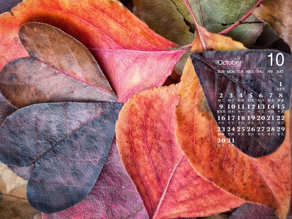 De octubre de el año 2016 fondo de pantalla de calendario (1) #9 - 1024x768