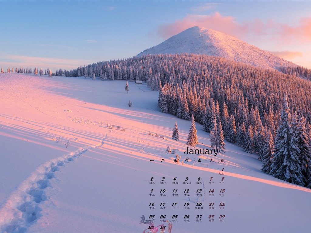 Januar 2017 Kalender Hintergrund (1) #7 - 1024x768
