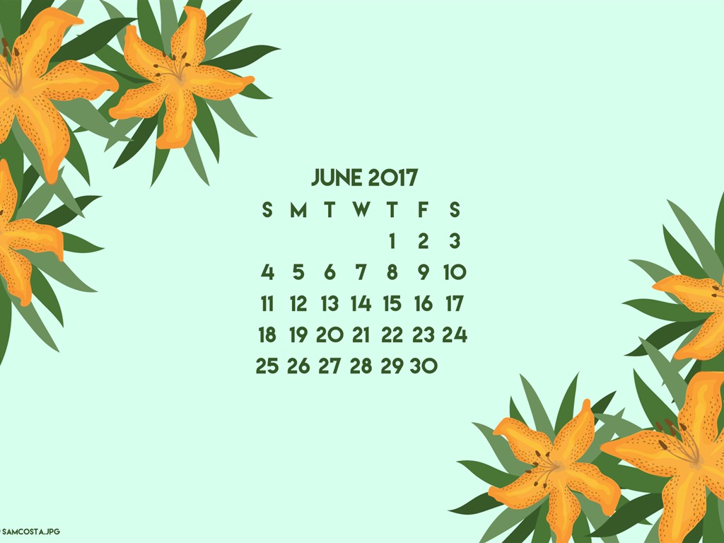2017年6月のカレンダーの壁紙 #3 - 1024x768