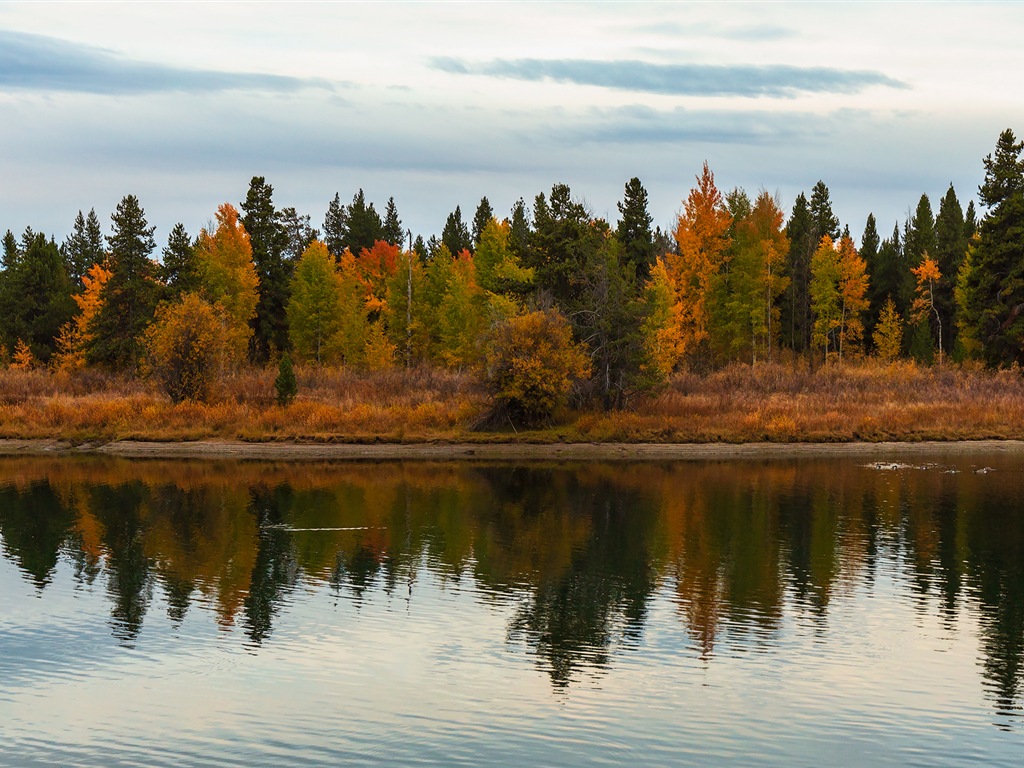 미국 그랜드 Teton 국립 공원 자연 풍경의 HD 월페이퍼 #18 - 1024x768