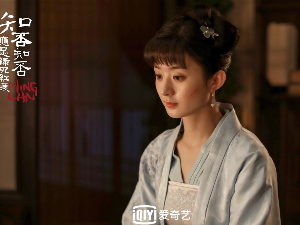 The Story Of MingLan, TV series HD wallpapers #36 - 1024x768