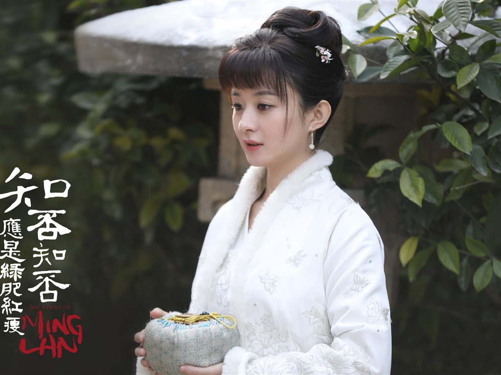 The Story Of MingLan, TV series HD wallpapers #51 - 1024x768