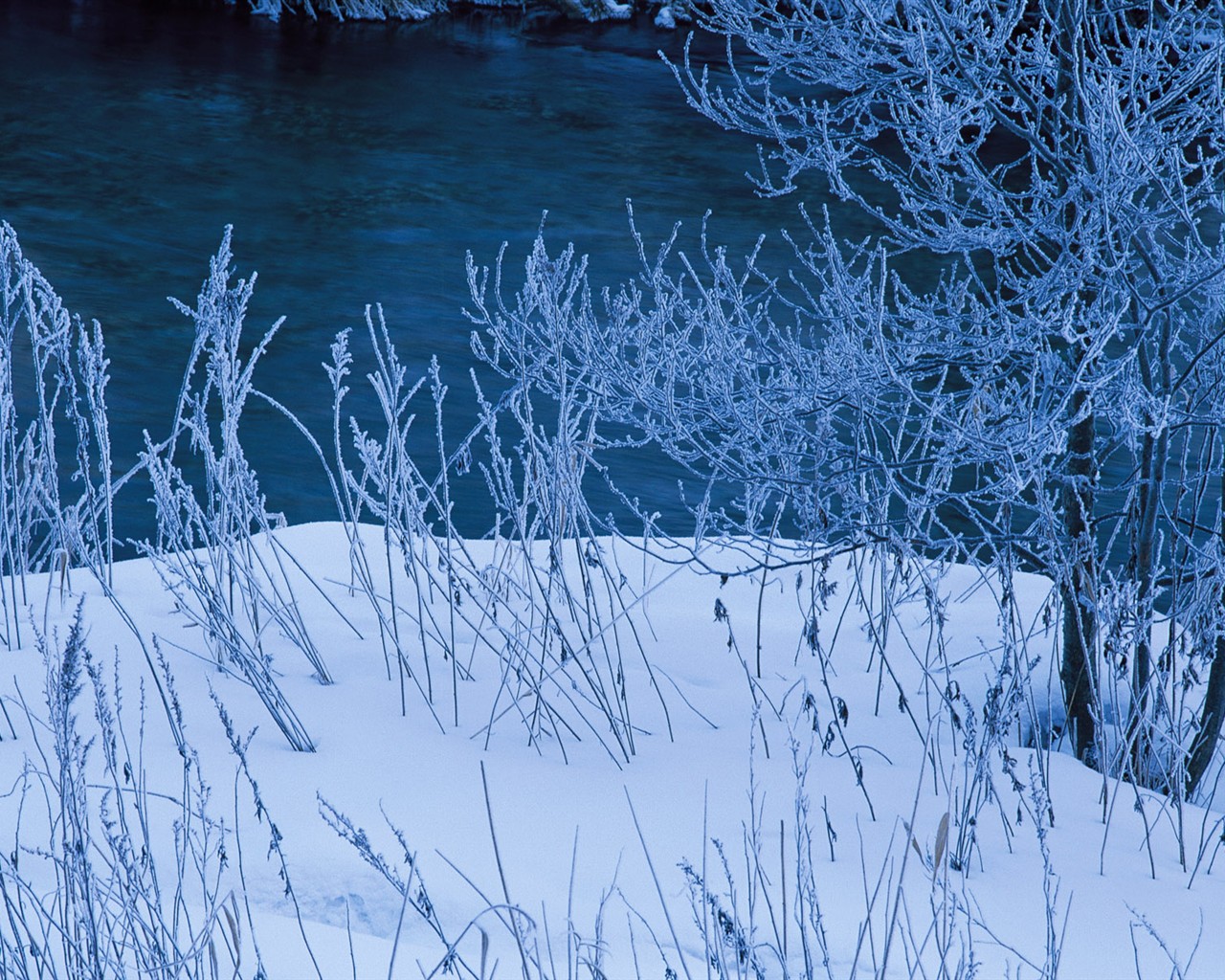Sníh les tapety (1) #9 - 1280x1024