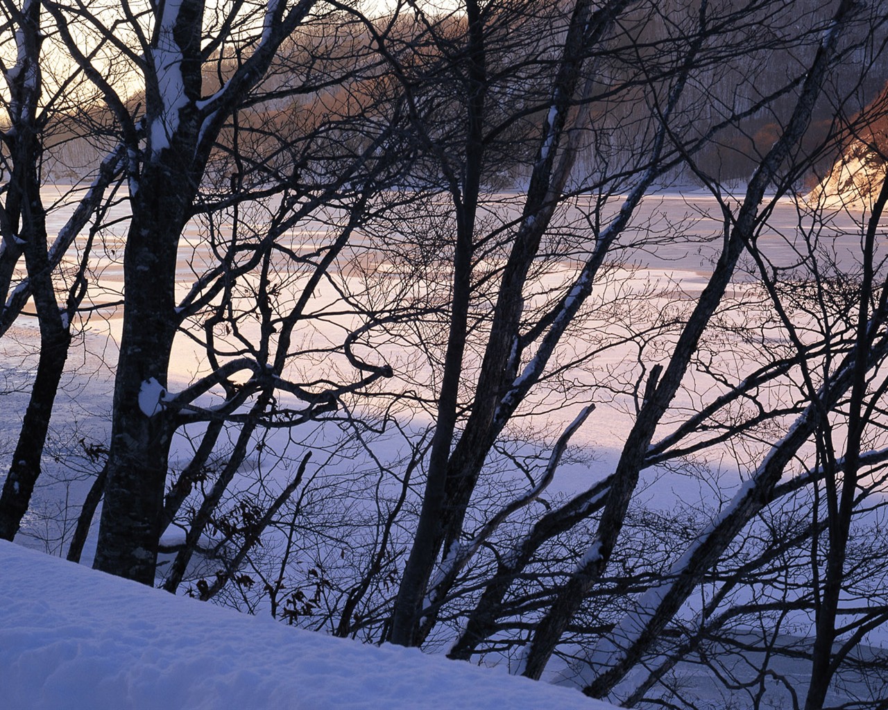 forêt, la neige fond d'écran (2) #2 - 1280x1024