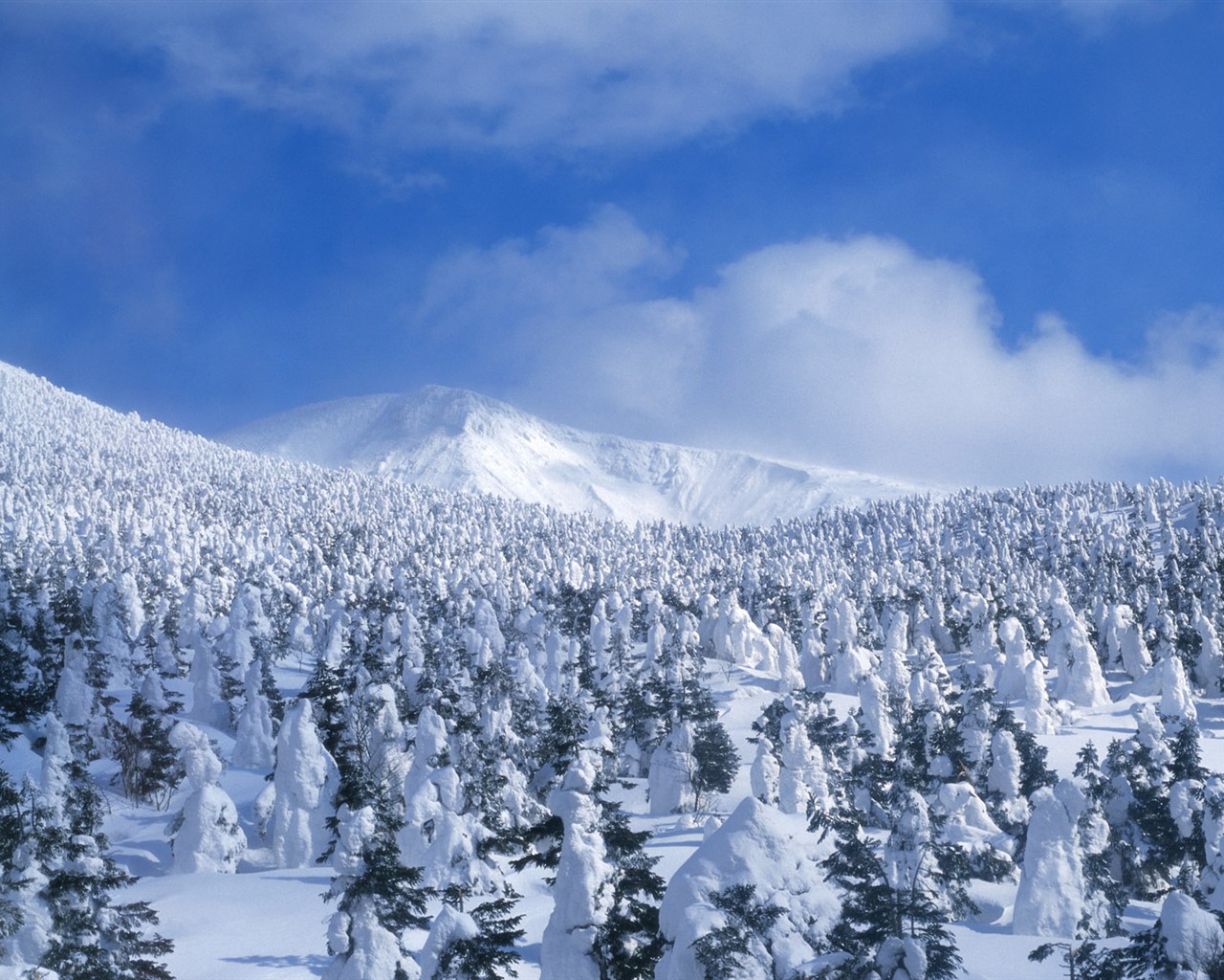forêt, la neige fond d'écran (2) #14 - 1280x1024