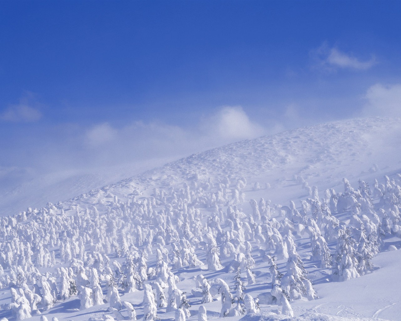 Snow forest wallpaper (2) #16 - 1280x1024