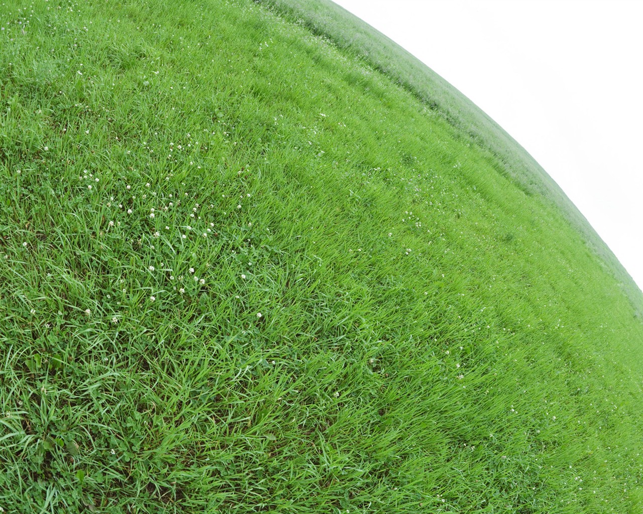 绿色草地(一)12 - 1280x1024