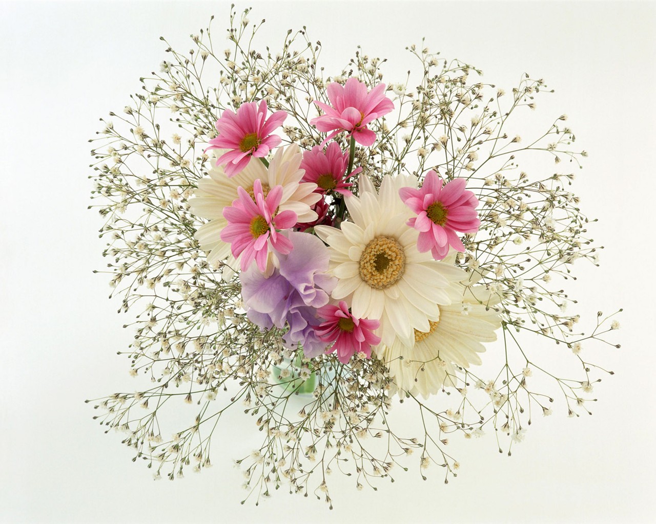 Flower Hintergrundbilder Selection (1) #19 - 1280x1024