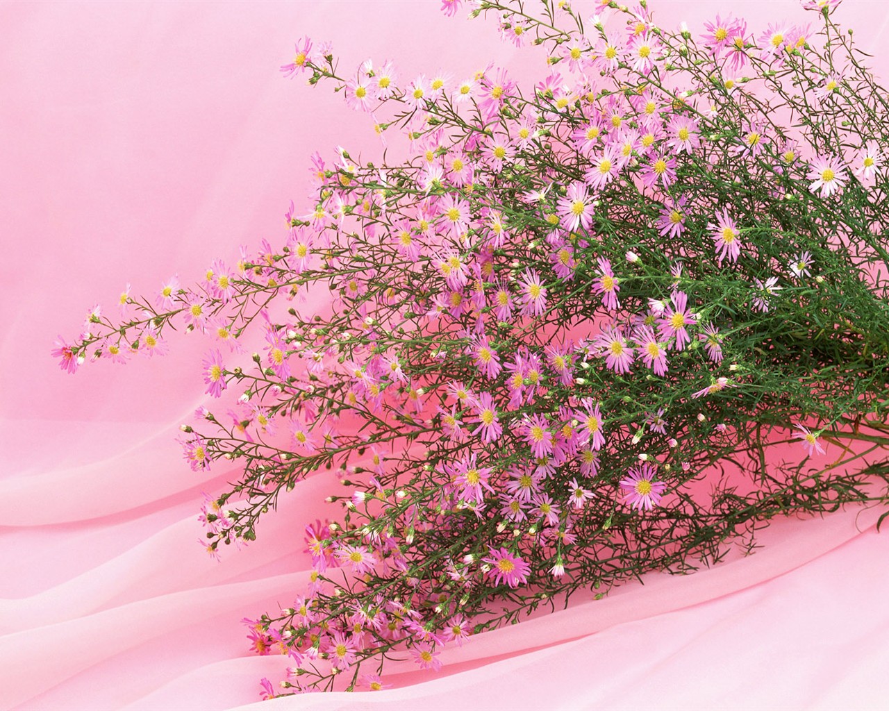Flower Hintergrundbilder Selection (1) #20 - 1280x1024