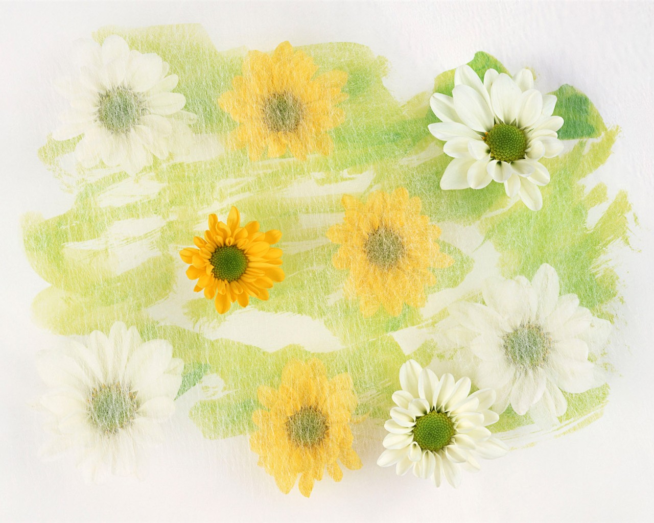Květ Tapety na plochu výběr (1) #39 - 1280x1024