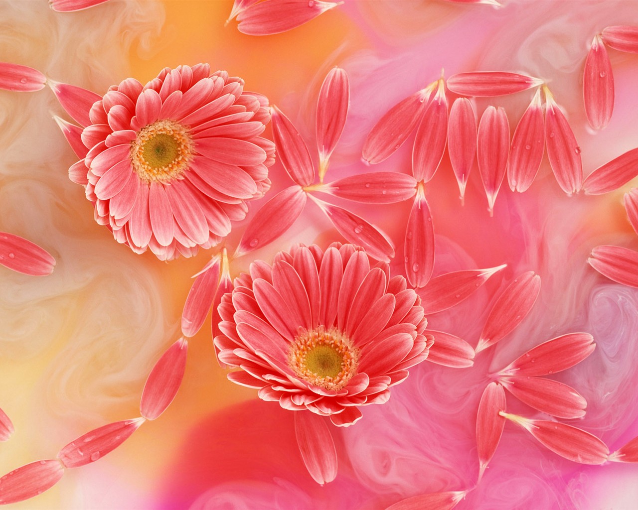 Flower Hintergrundbilder Selection (2) #9 - 1280x1024
