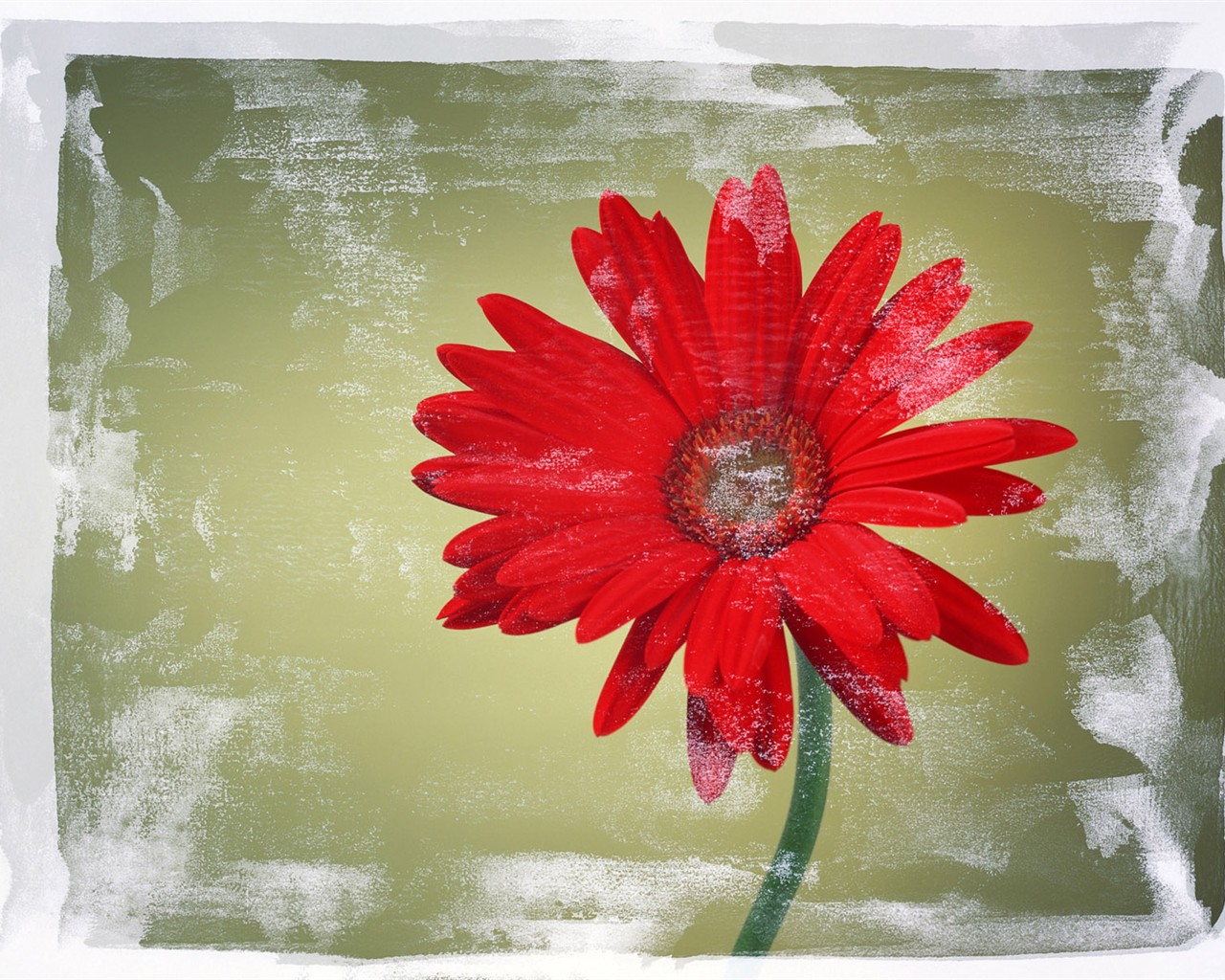 Flower Hintergrundbilder Selection (2) #13 - 1280x1024