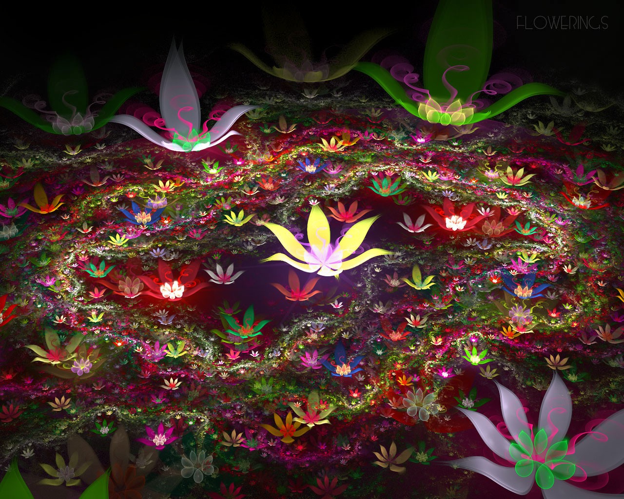 3D Wallpaper Abstract Flower Dream #4 - 1280x1024