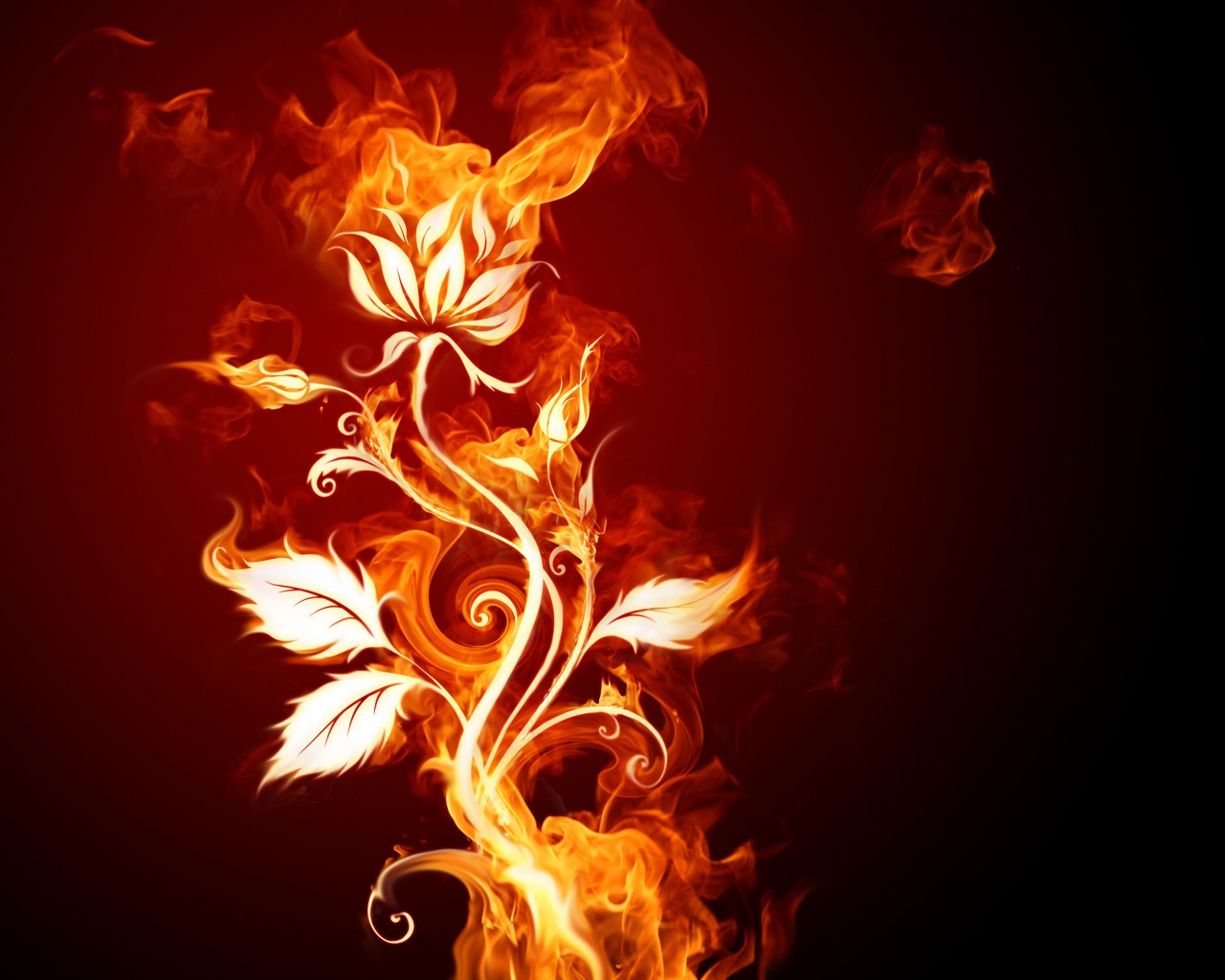創造性の花火の壁紙テーマ #29 - 1280x1024