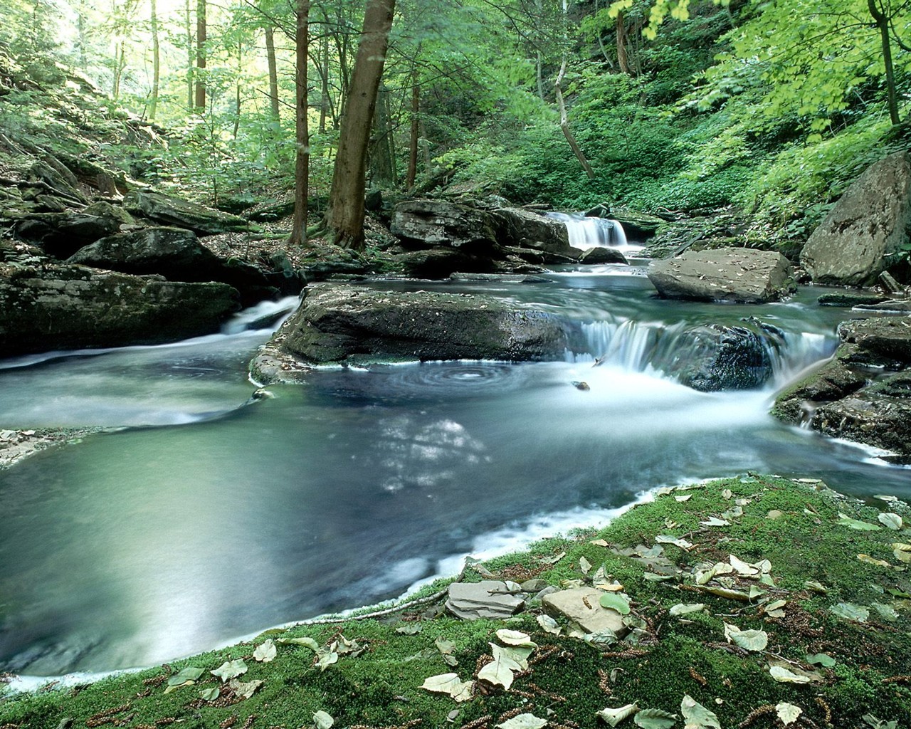 Hermoso paisaje de fondo de pantalla álbumes #34 - 1280x1024 Fondos de