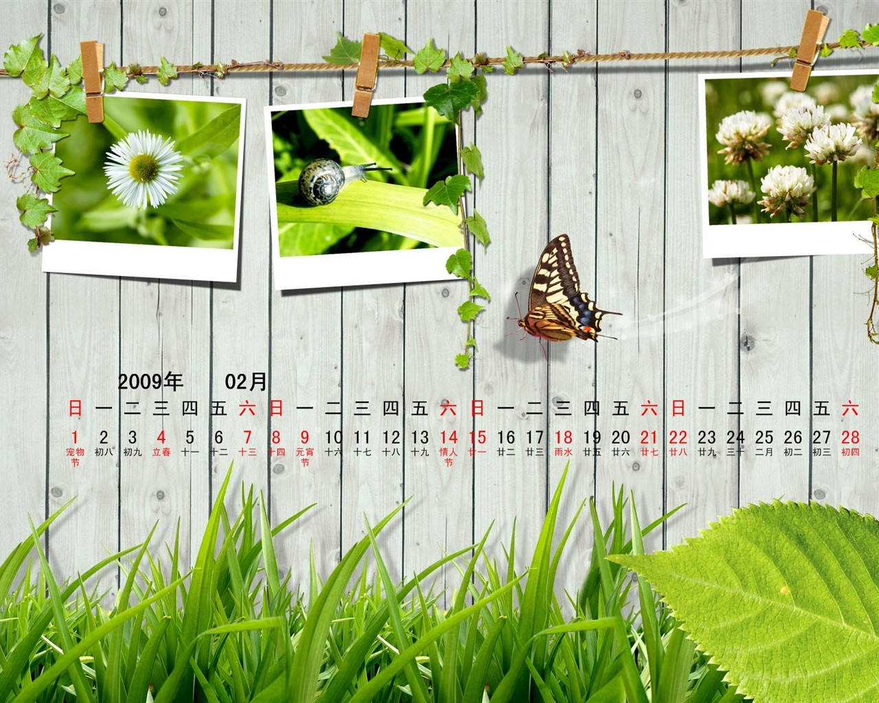 Paperart 09 Jahre im Februar Kalender Wallpaper #10 - 1280x1024