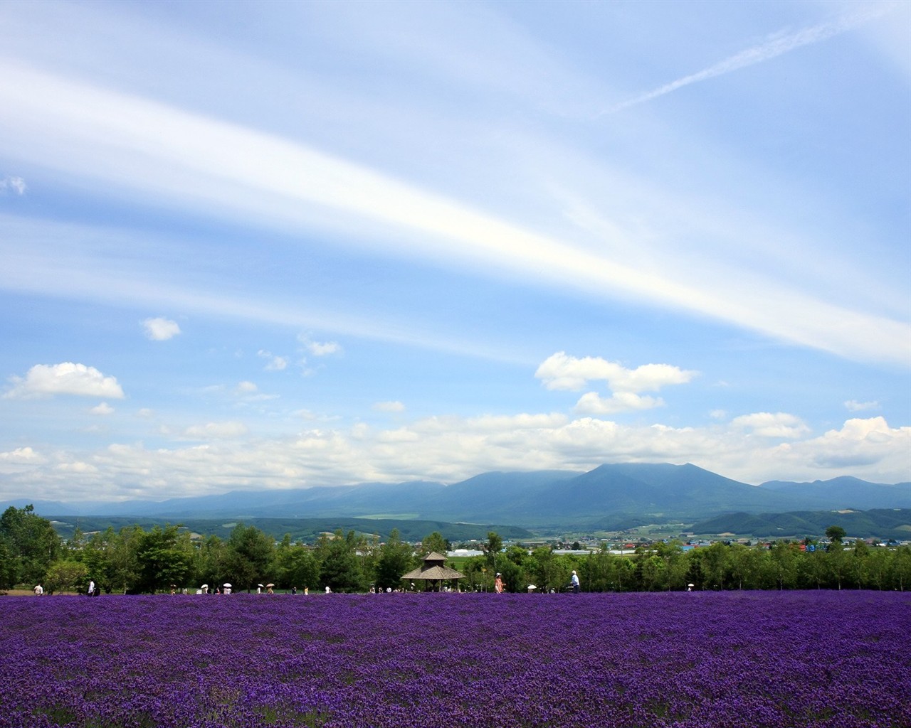 Hokkaido más vistas #3 - 1280x1024