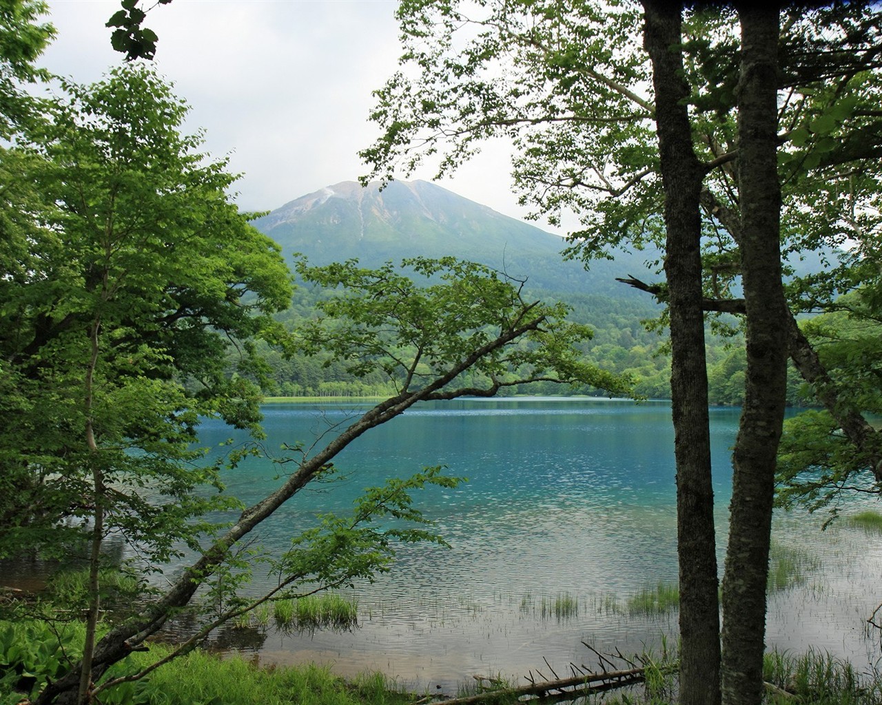 Hokkaido countryside scenery #9 - 1280x1024