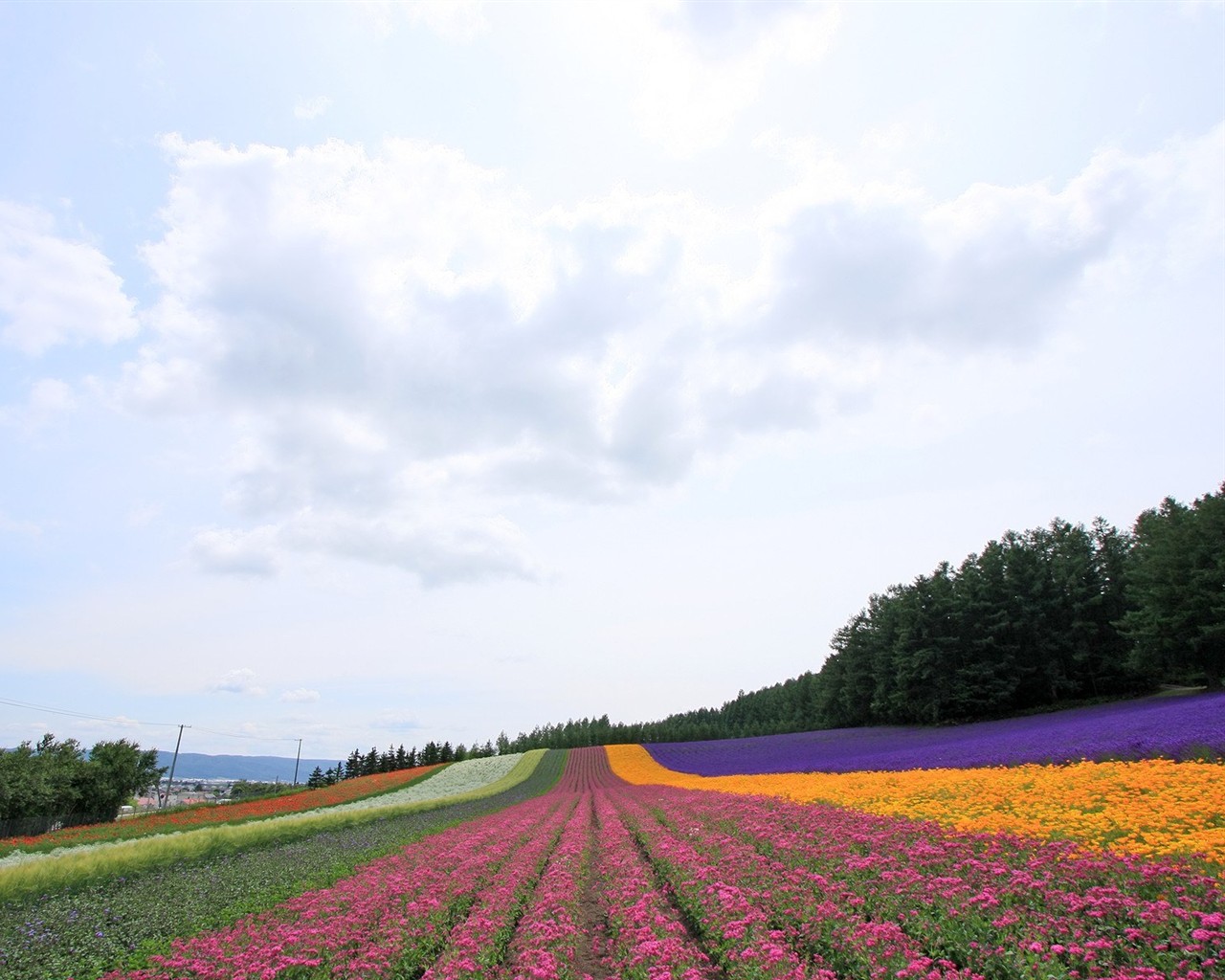 Hokkaido ländlicher Umgebung #19 - 1280x1024