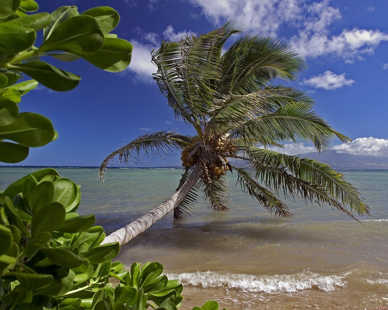 havajské pláži scenérie #13 - 1280x1024