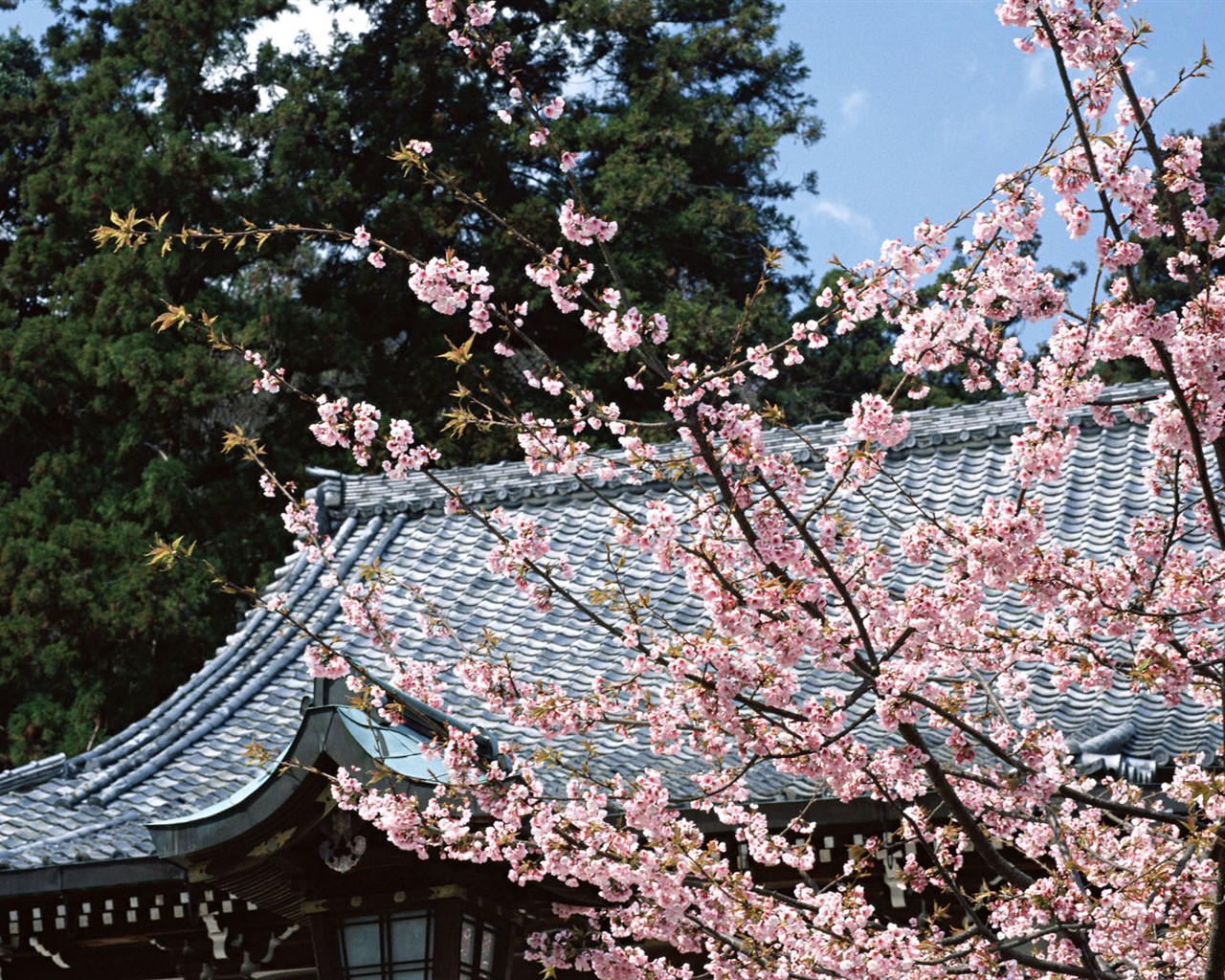 京都、日本、風景壁紙 #14 - 1280x1024