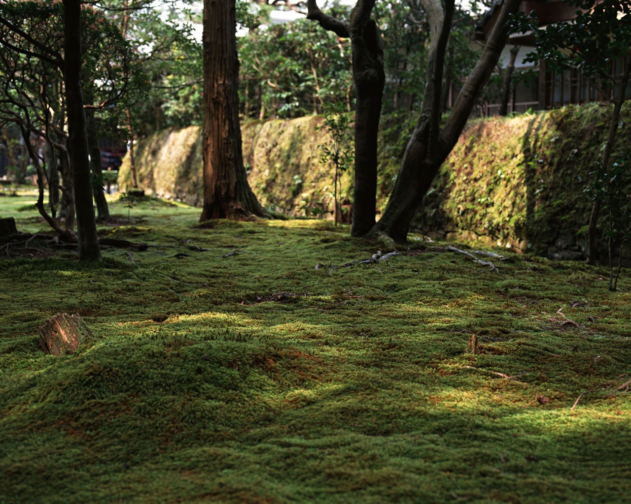 Kyoto, Japan, Landscape Wallpapers #23 - 1280x1024