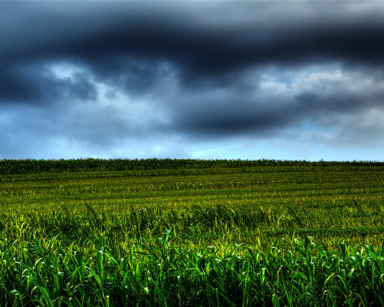 Representación de paisajes Fondos de pantalla HD #7 - 1280x1024