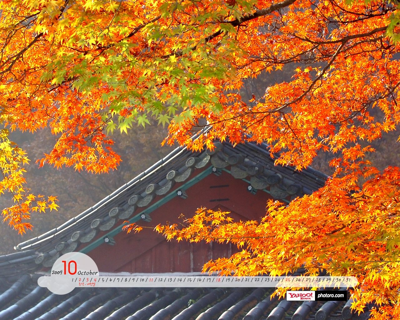 YAHOO Corée du Sud dans le calendrier Scenic Octobre #16 - 1280x1024
