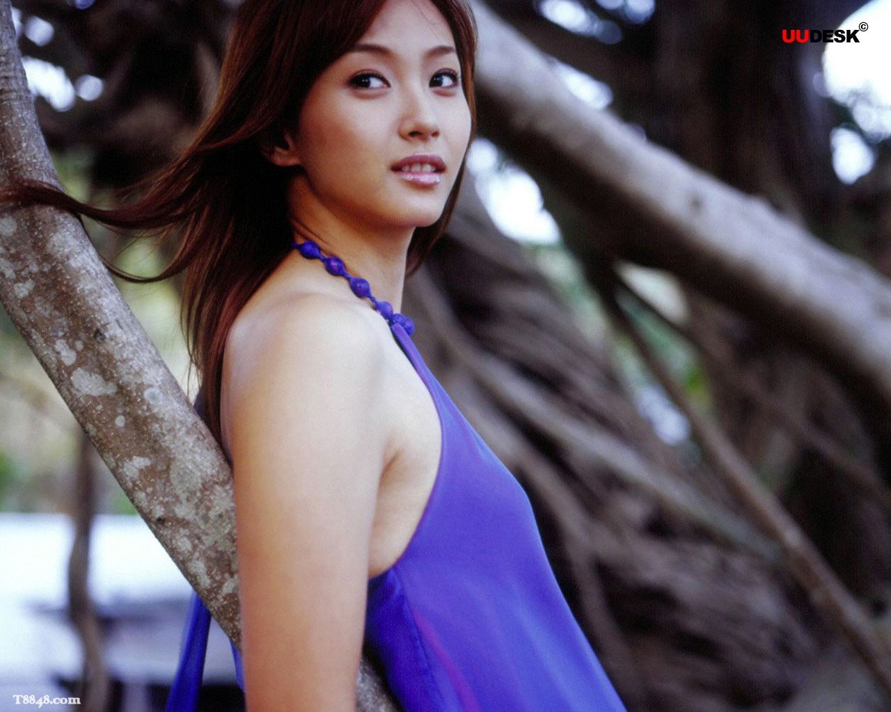Belleza Miki Fujimoto fondo de pantalla #11 - 1280x1024