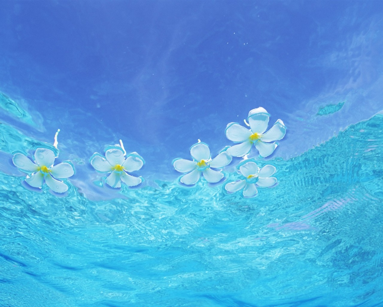 馬爾代夫的水和天 #11 - 1280x1024