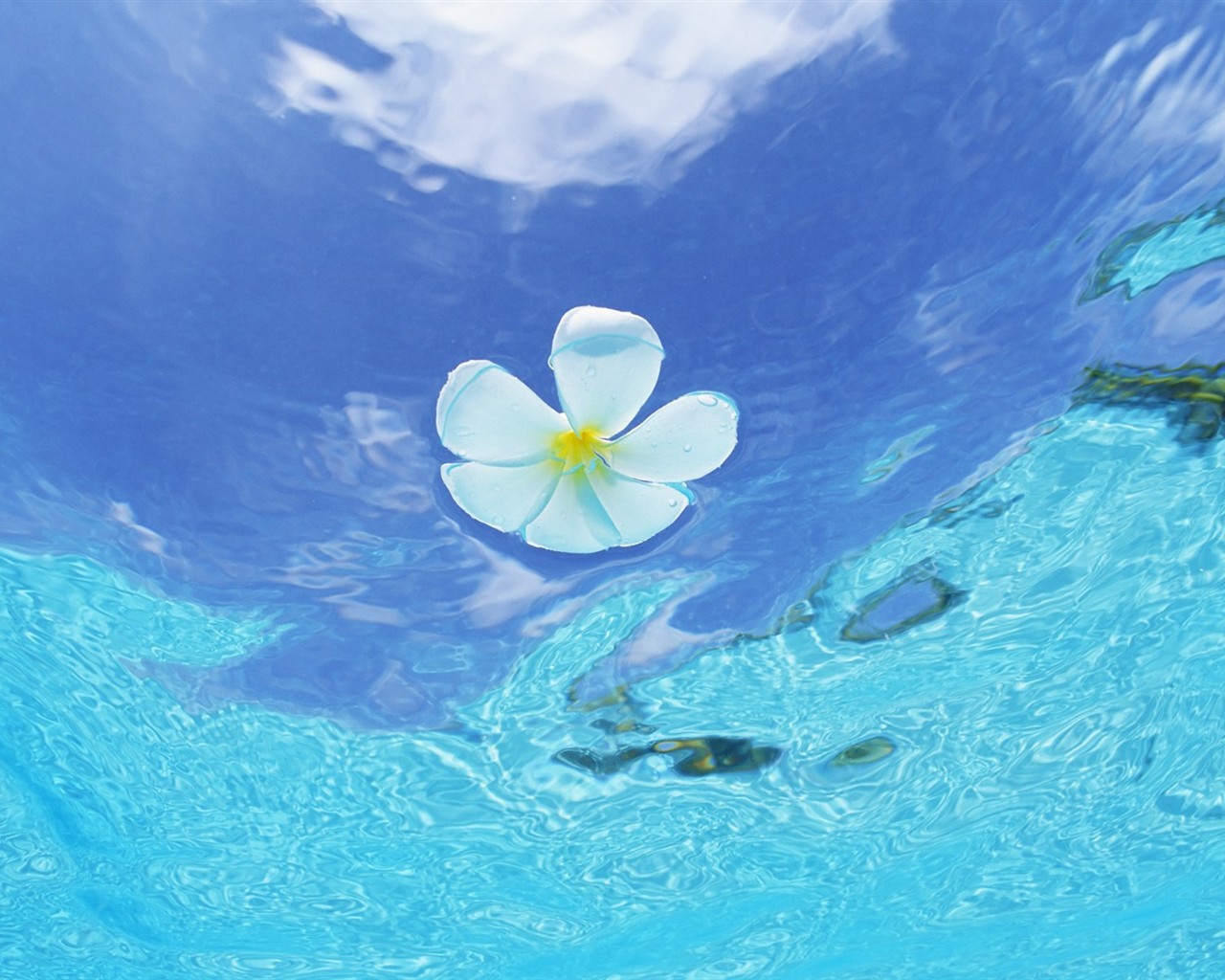 Maldivas agua y el cielo azul #12 - 1280x1024