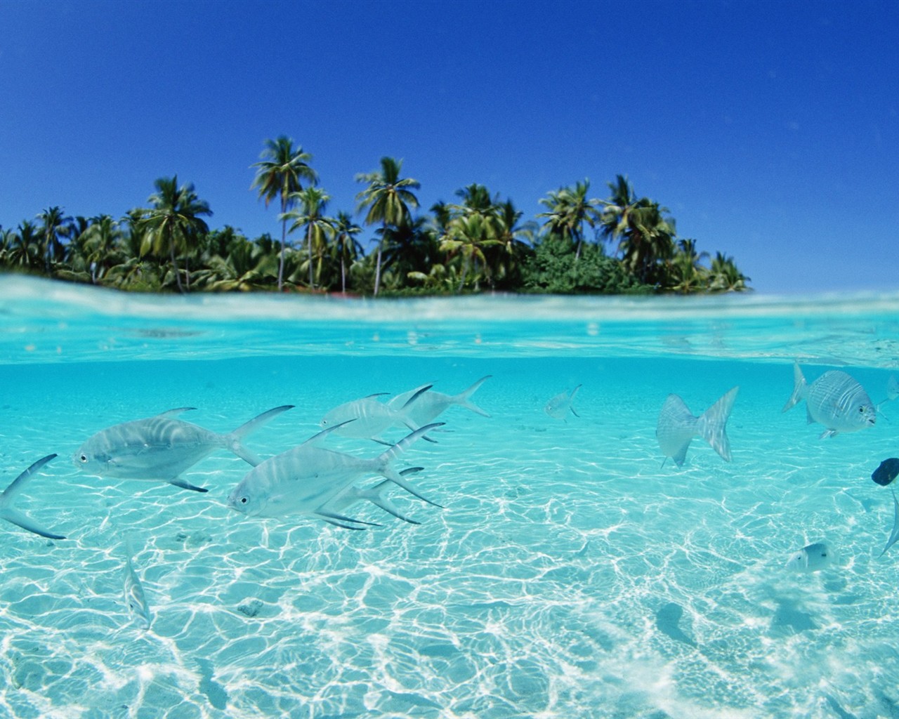 ciel bleu de l'eau aux Maldives et #24 - 1280x1024