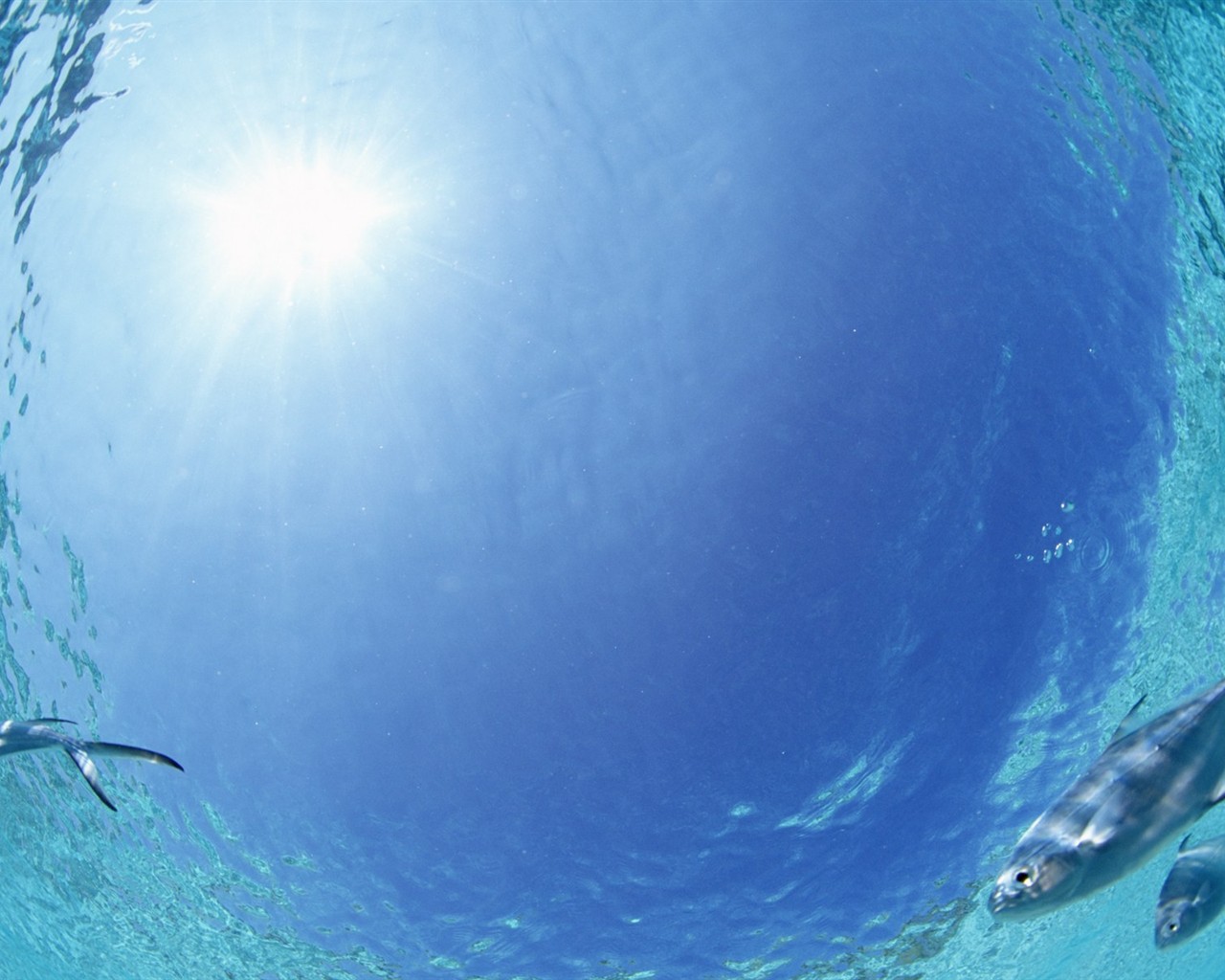 ciel bleu de l'eau aux Maldives et #28 - 1280x1024