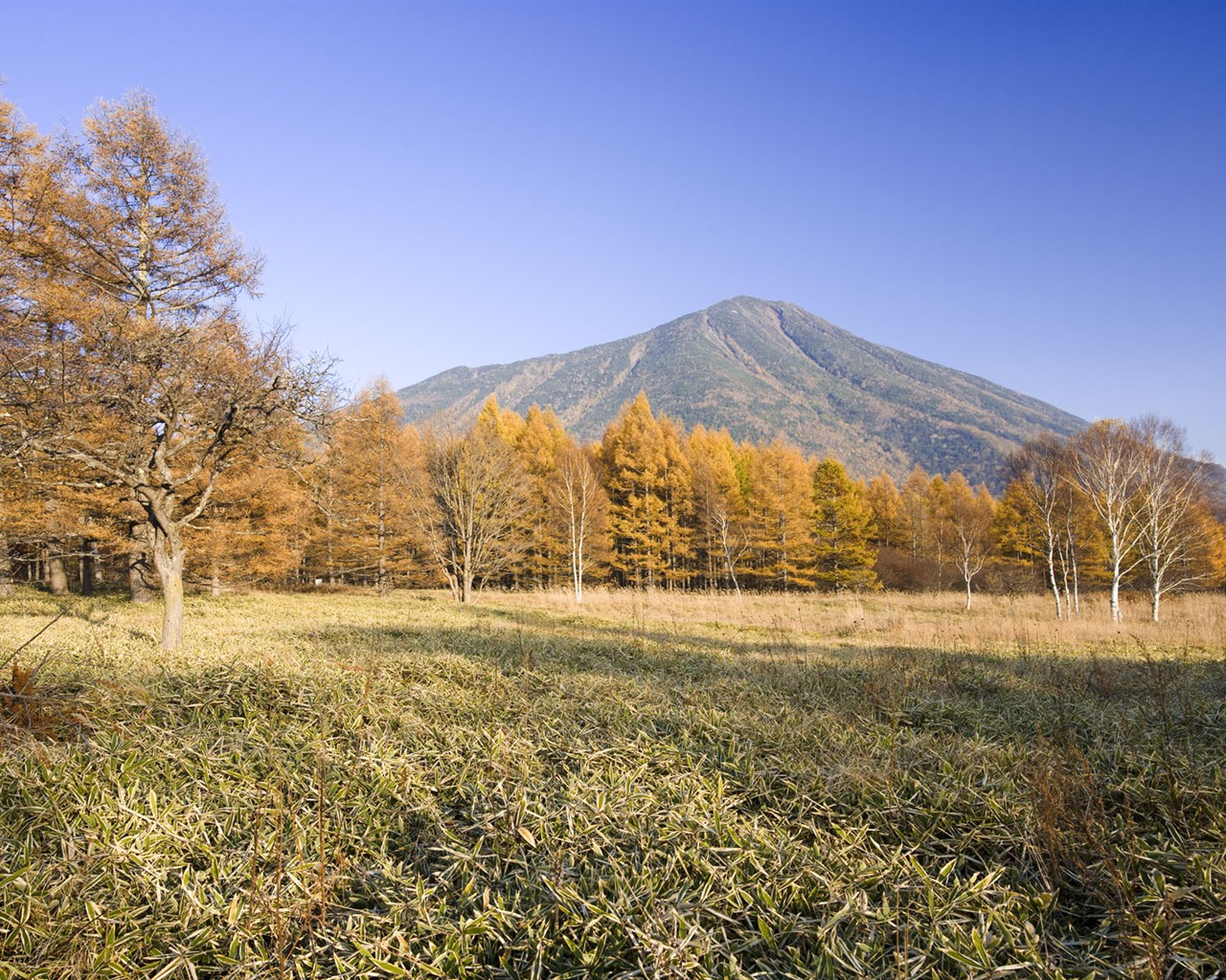 paysages naturels du Japon Fond d'écran #1 - 1280x1024