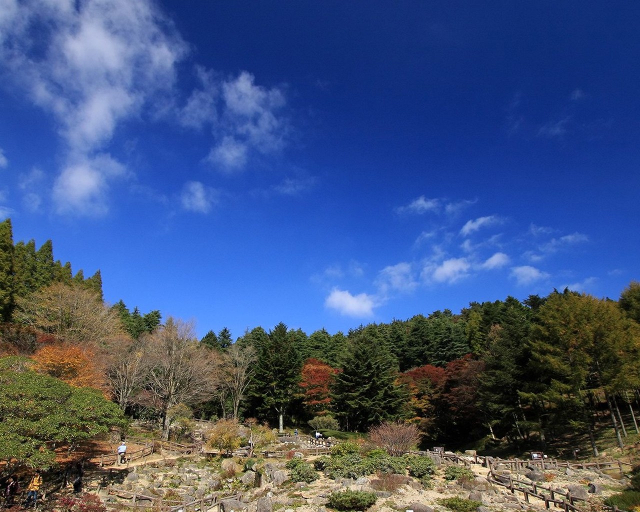 Japan Tour: Rokko Mountain leaves #9 - 1280x1024