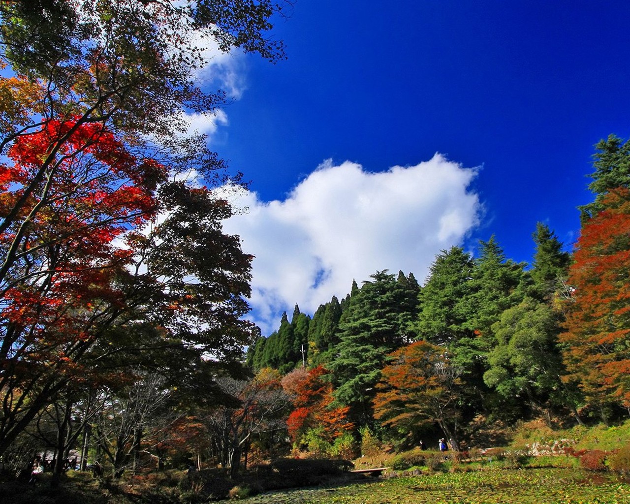 Japan Tour: Montañas Rokko hojas #10 - 1280x1024