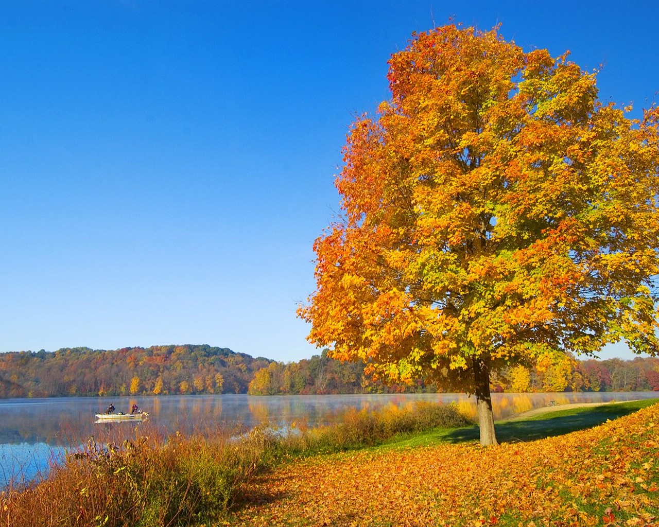 厚の秋の風景の壁紙 3 1280x1024 壁紙ダウンロード 厚の秋の風景の壁紙 風景 壁紙 V3の壁紙