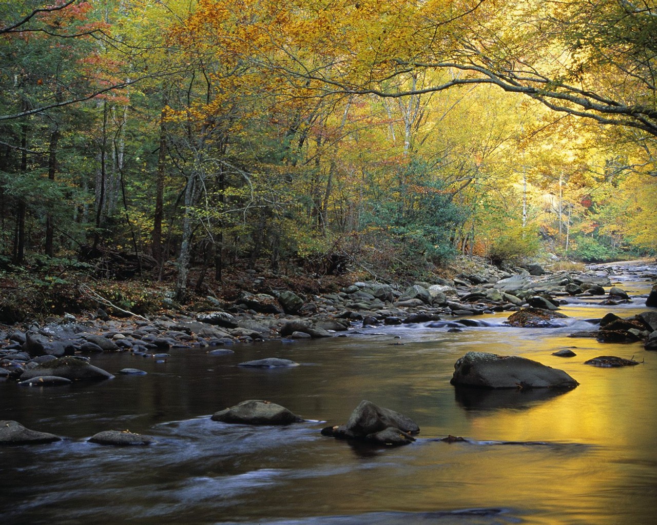 Thick autumn scenery wallpaper #9 - 1280x1024