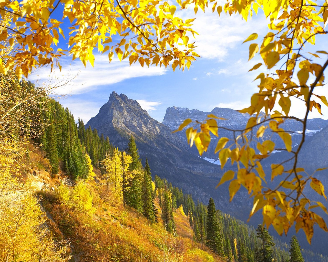 Thick autumn scenery wallpaper #11 - 1280x1024