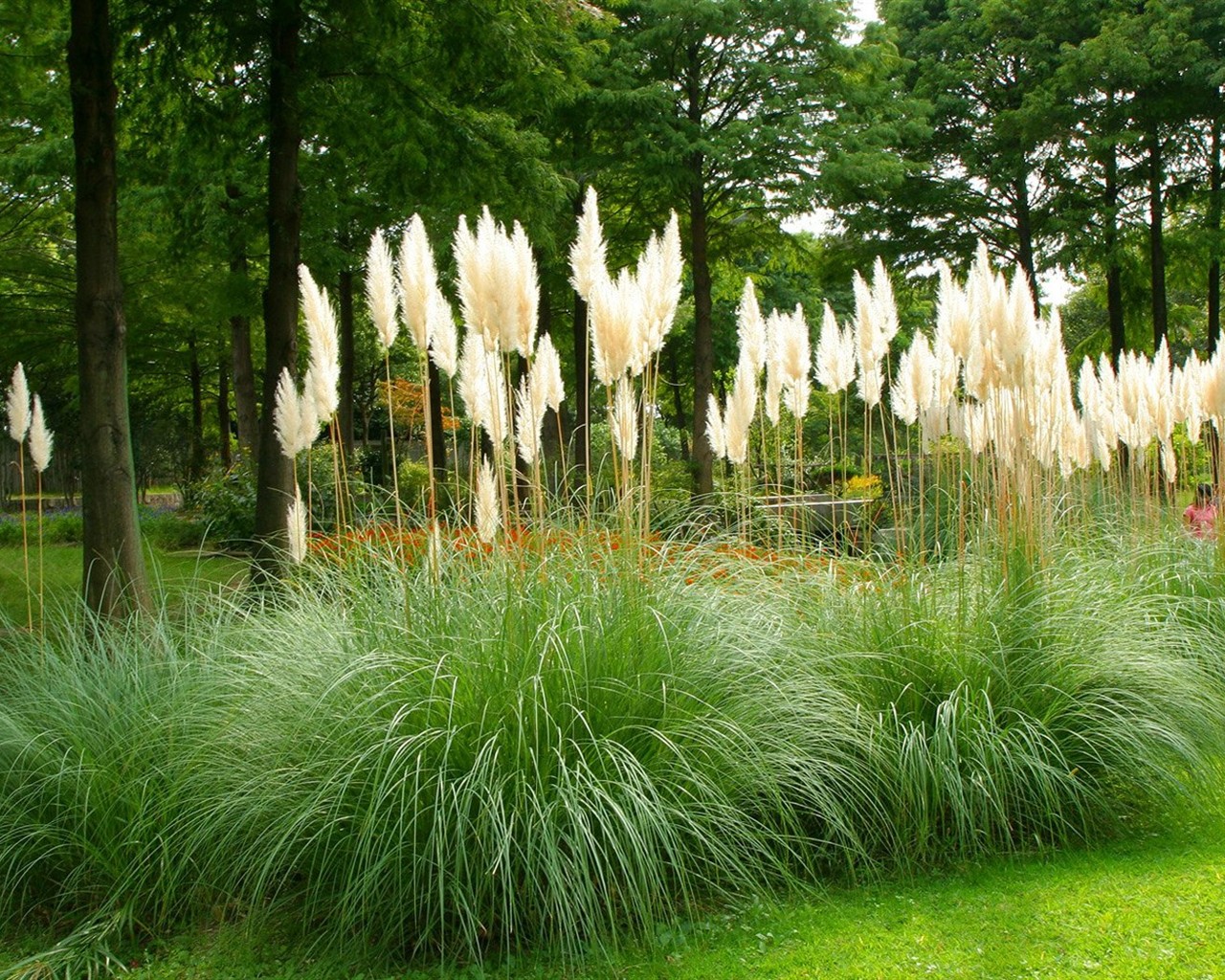 Parc beau fond d'écran #18 - 1280x1024