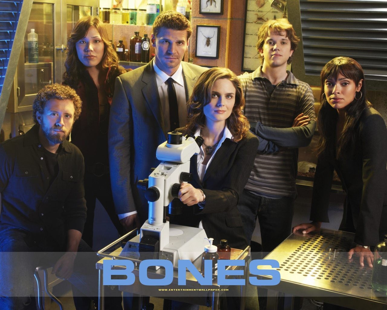 Bones wallpaper #1 - 1280x1024